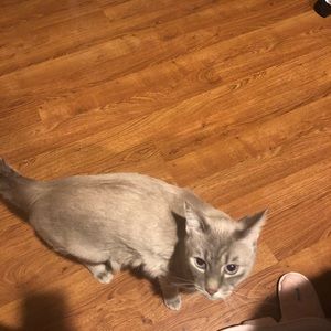 Meet your Posher, Brock